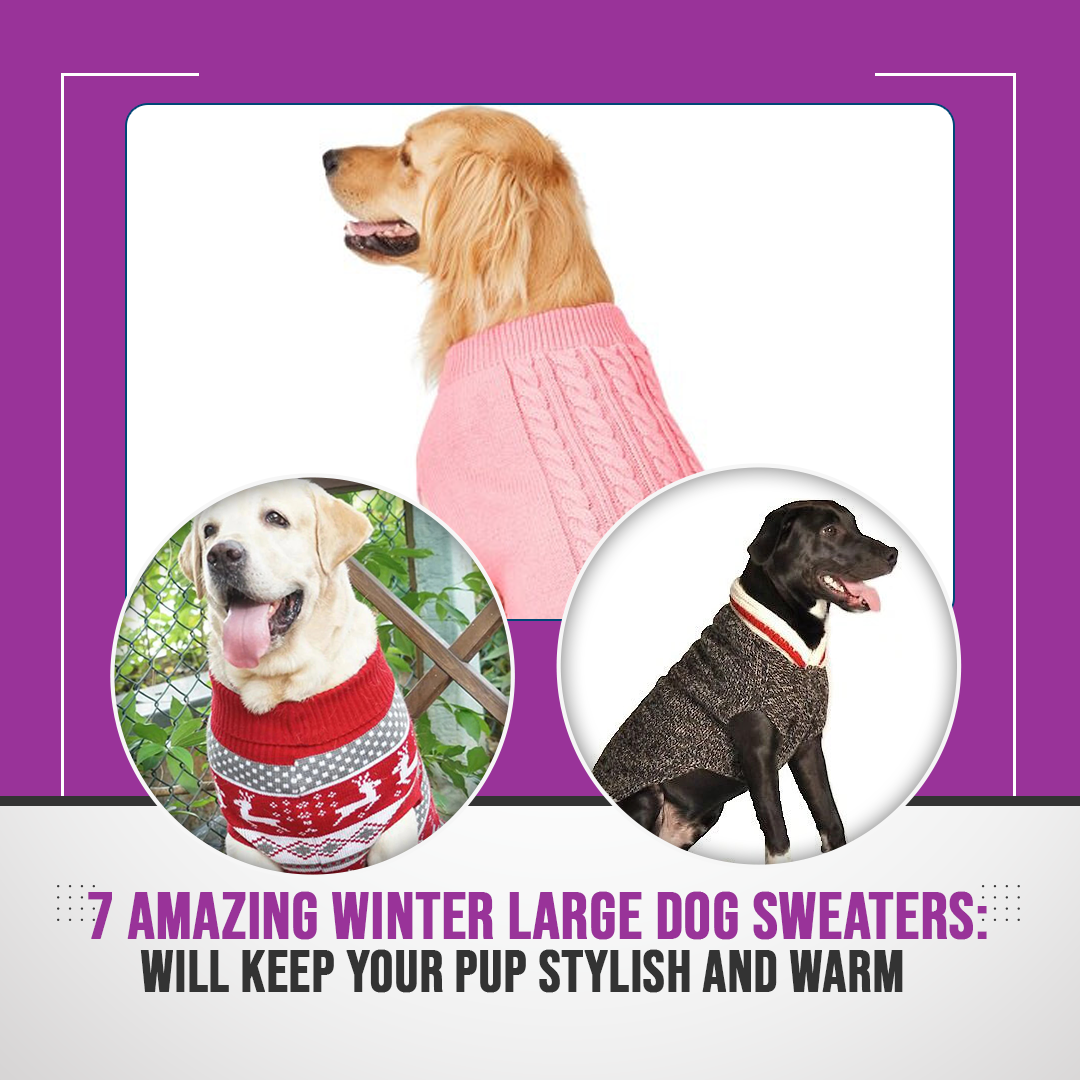 7 Amazing Winter Large Dog Sweaters: Will Keep Your Pup Stylish and Warm