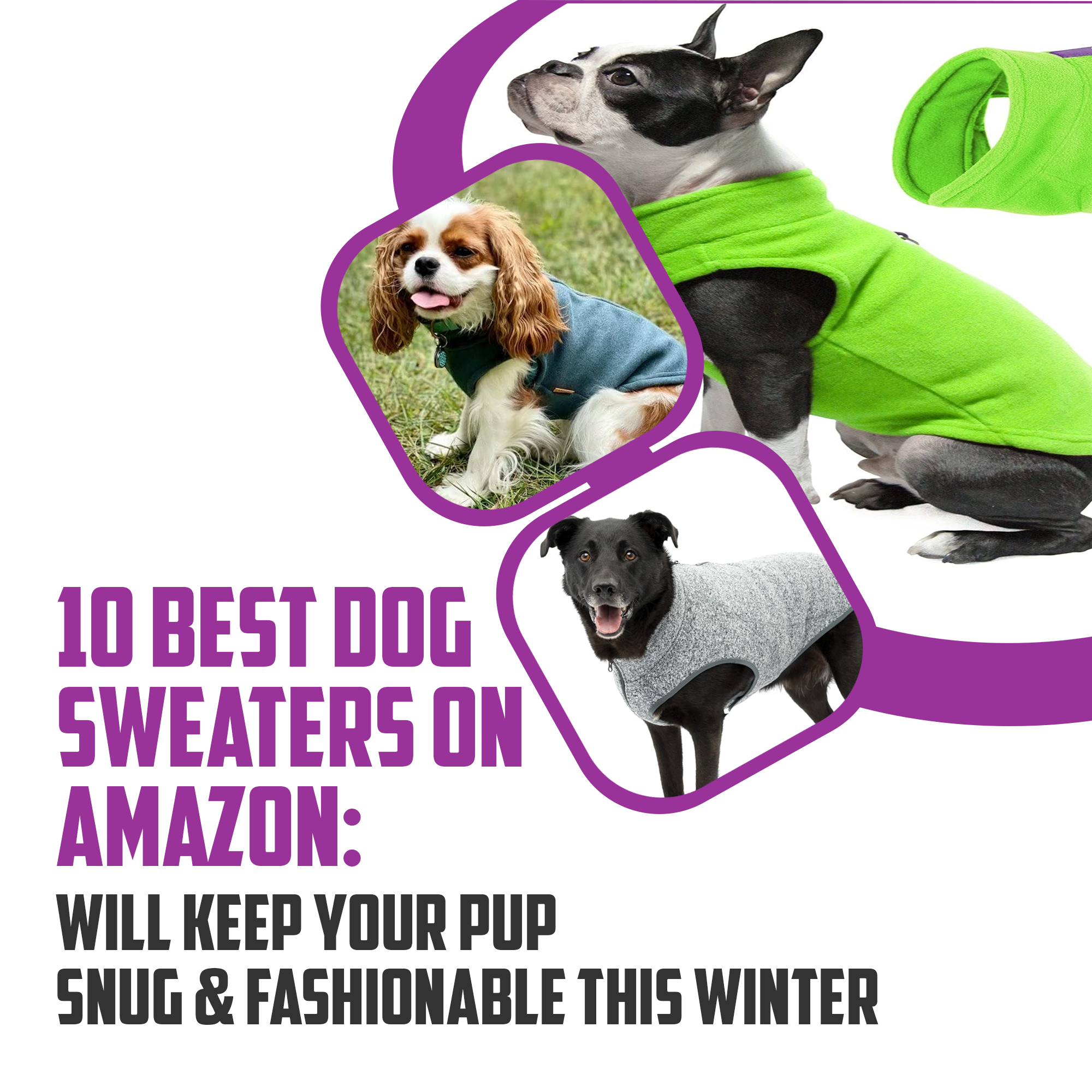 10 Best Dog Sweaters On Amazon: Will Keep Your Pup Snug & Fashionable This Winter