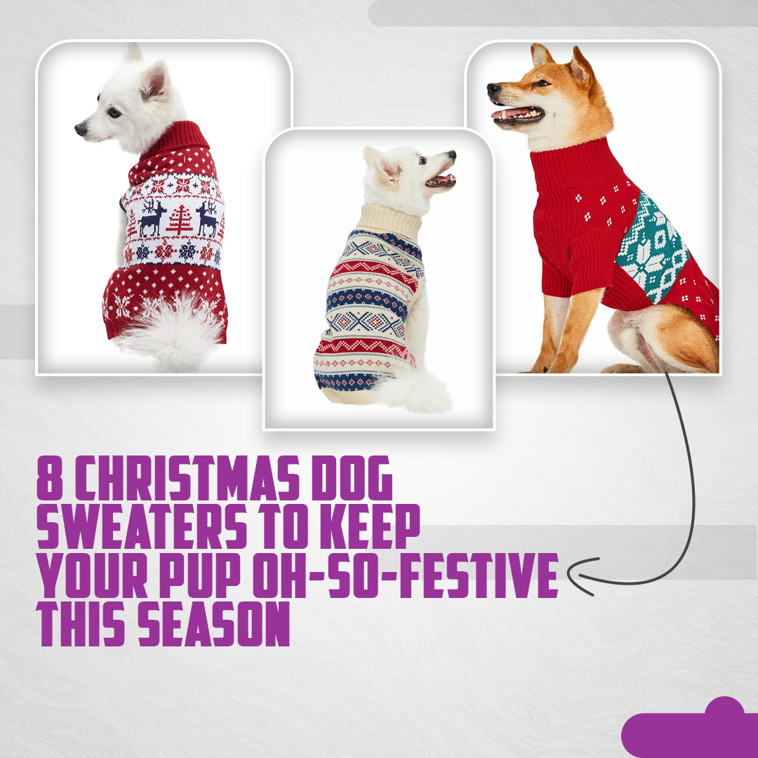8 Christmas Dog Sweaters To Keep Your Pup Oh-So-Festive This Season